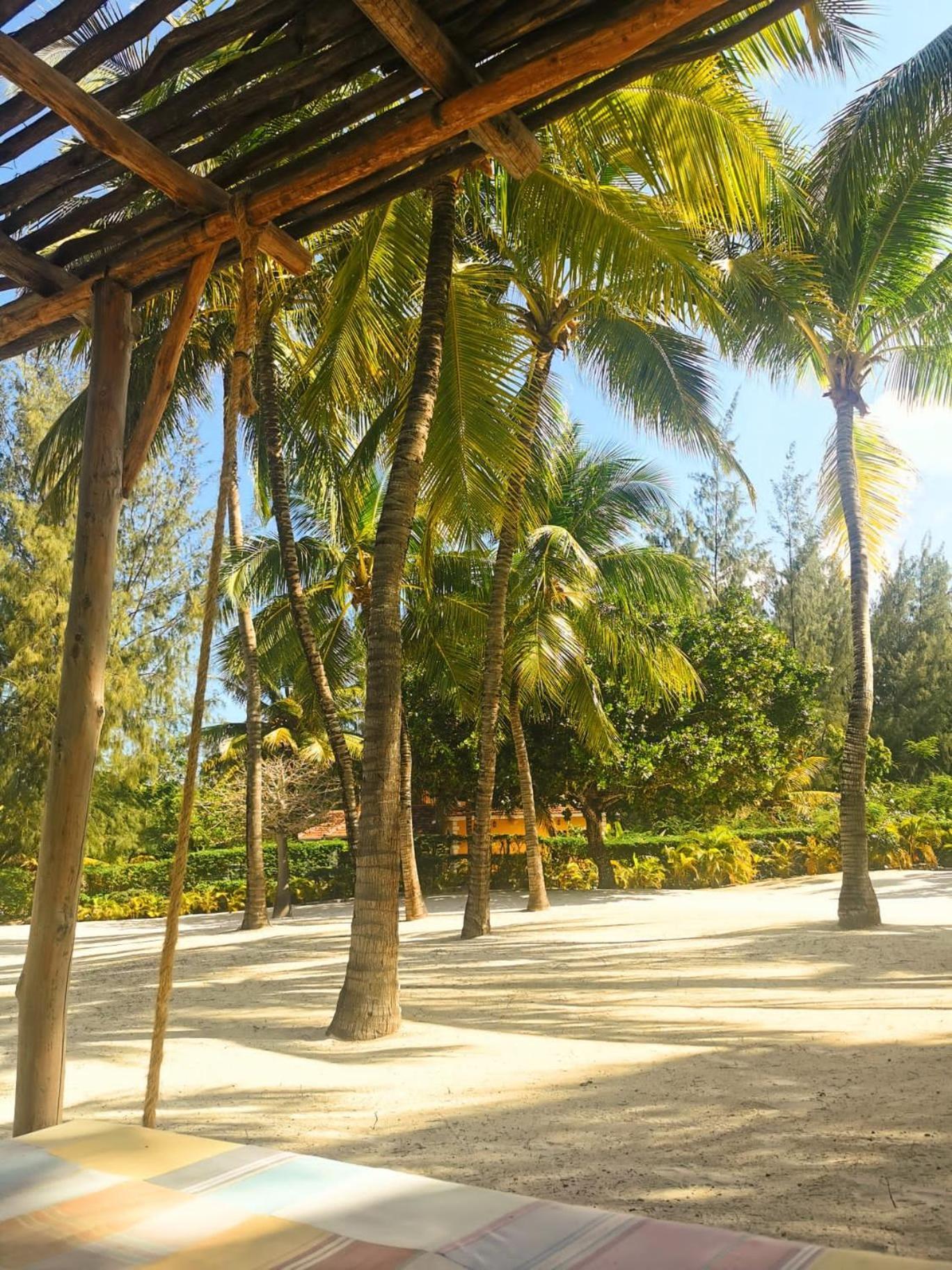 Zumzum Beach House Bed and Breakfast Kinondo Exteriör bild